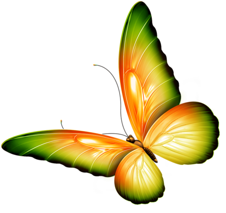 Butterfly Clipart Monarch Butterfly Insect Very Stubborn - Clipart Flowers And Butterflies Border (463x435), Png Download
