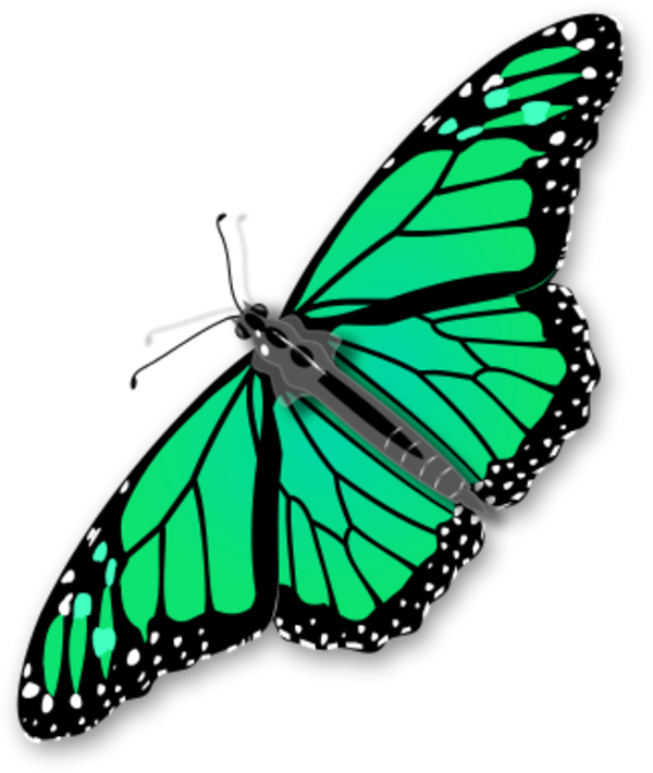 Monarch Butterfly Clipart Three - Butterfly Clipart No Background (600x710), Png Download