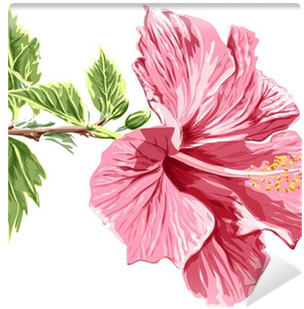 Vector / Eps10 Wall Mural • Pixers® • We Live To Change - Sketched Pink Hibiscus 5'x7'area Rug (400x400), Png Download