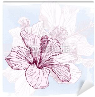 Vector Watercolor Paint Wall Mural • Pixers® • We Live - East Urban Home Hibiscus Flower Shower Curtain (400x400), Png Download