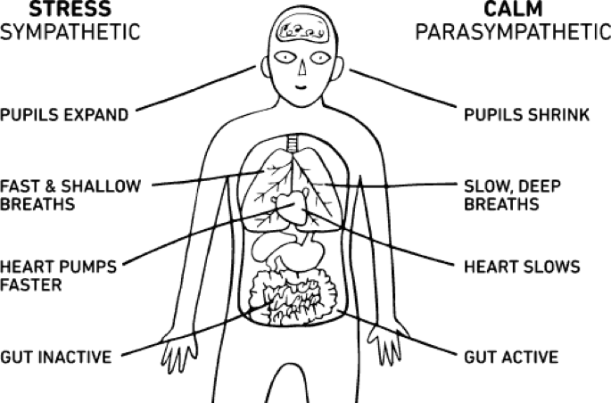 Body-breathing (685x452), Png Download