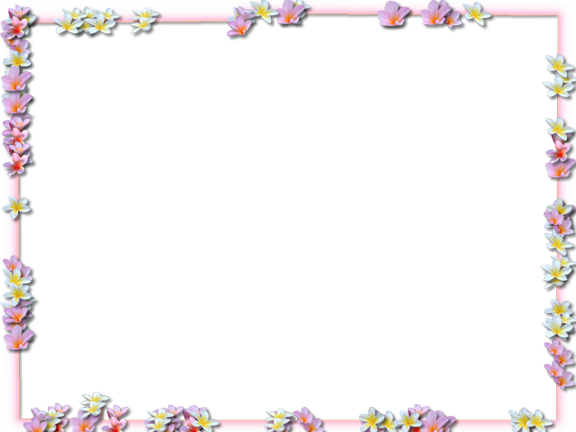 Flowers Borders Png Transparent Images - Frame Flower Border Png (640x480), Png Download