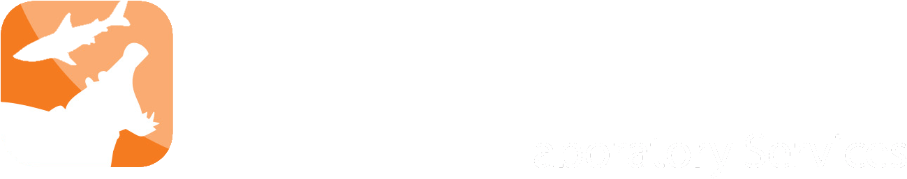Footer Winelab Footer Equi Footer Acs Footer Zooquarius - Darkness (1326x268), Png Download