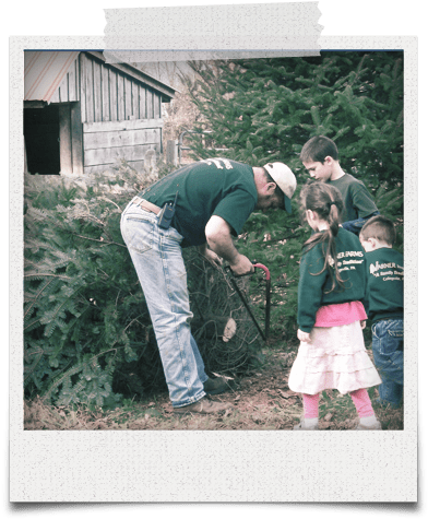 Products And Pricing - Varner Farms (411x487), Png Download