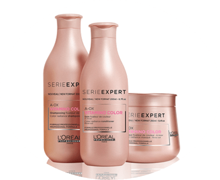 Colour Protection - L'oreal Professional Absolut Repair Lipidium Masque (440x360), Png Download