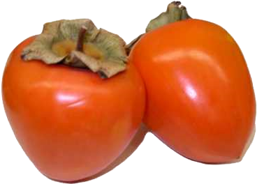 Persimmon Free Download Png - Hinh Anh Qua Hong (432x360), Png Download