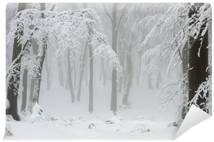 Black Tree Branches And White Snow Wall Mural • Pixers® - Winter (400x400), Png Download