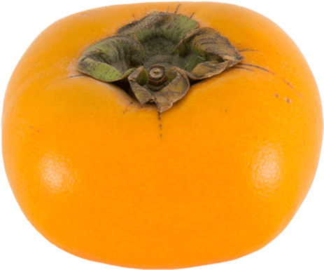 Persimmons - Persimmon (500x500), Png Download