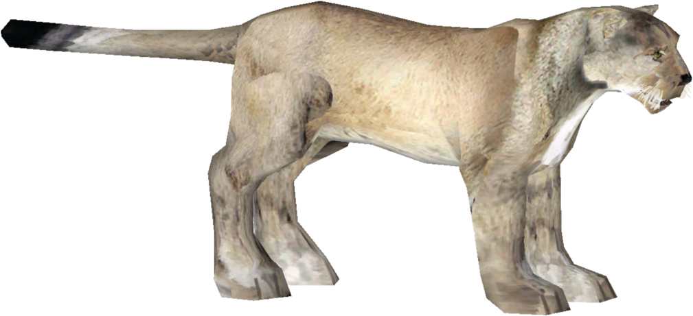 American Lion - Lion Zt2 (1024x1024), Png Download