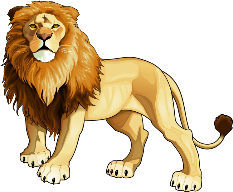 Яндекс - Фотки - Lion's Face Throw Blanket (800x634), Png Download
