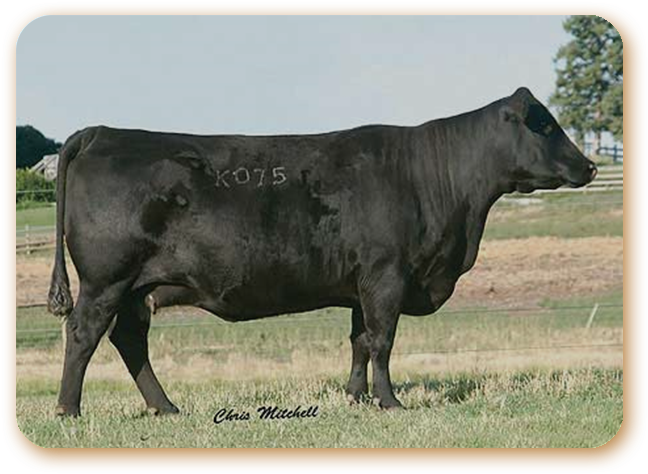 Er Barbara Perfection K075 - Portable Network Graphics (701x519), Png Download