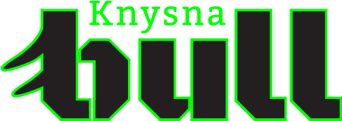 Bull Prologue - Knysna Bull Race Village (700x300), Png Download