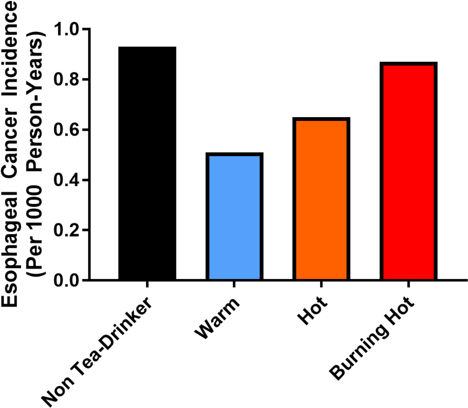 Data 2 - T Cell (1000x895), Png Download