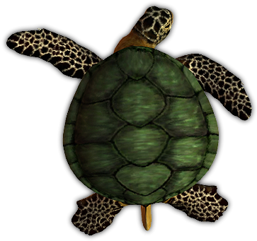 05 Feb 2009 - Dundjinni Turtle (376x350), Png Download
