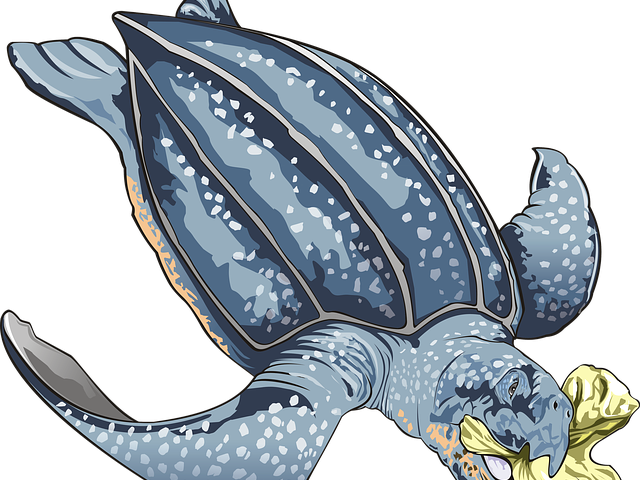 Sea Turtle Clipart Blue - World Environment Day 2018 Beat Plastic Pollution (640x480), Png Download