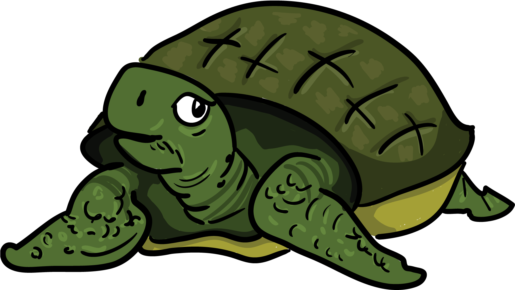 Turtoise Clipart Racing Turtle - Tortoise And Hare Png (1800x1800), Png Download