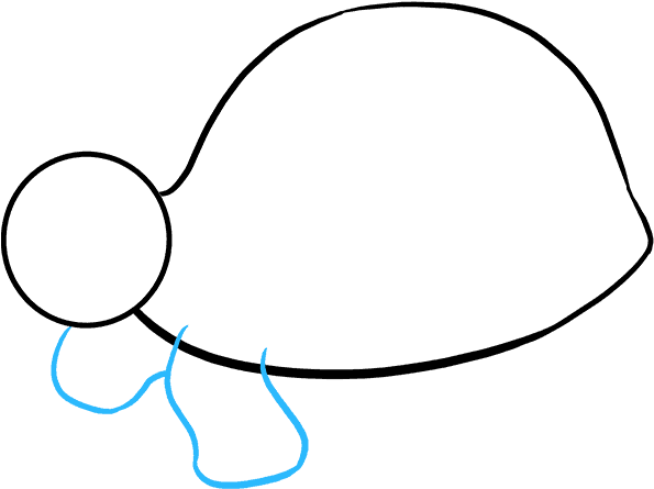 How To Draw Sea Turtle - Drawing (680x678), Png Download