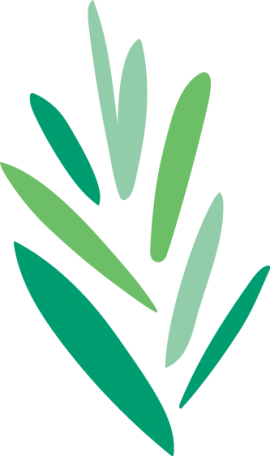 Our New Symbol - Reconstructionist Judaism (270x456), Png Download