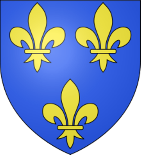 D'on Prové El Terme “botifler” - D Anjou Coat Of Arms (455x500), Png Download