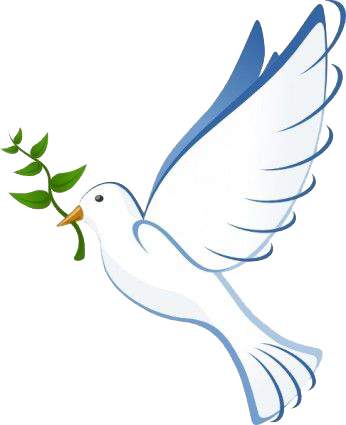 Favor6 - White Dove (346x425), Png Download