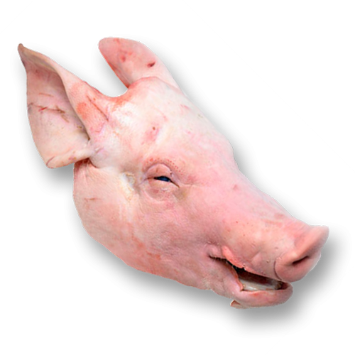 Pork Head - Head Cut Of Pork (500x500), Png Download