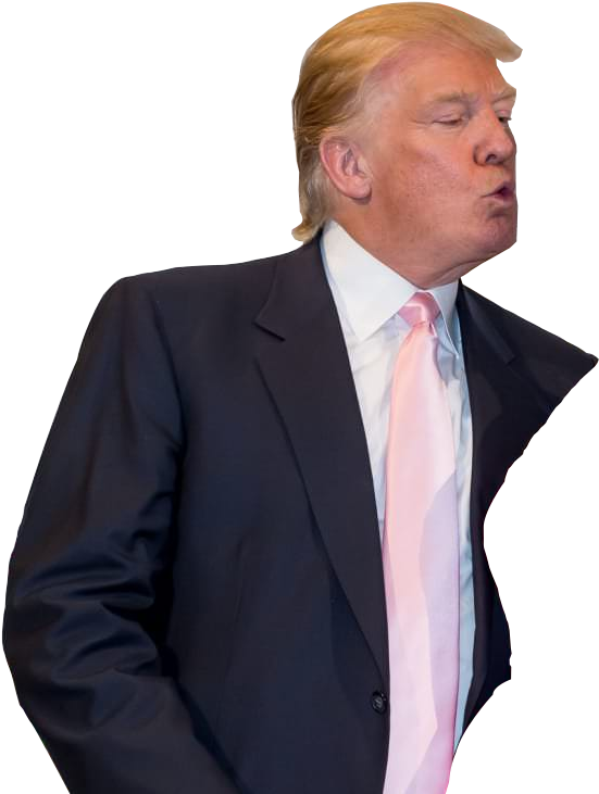 Persontrump - Imgur Llc (563x735), Png Download