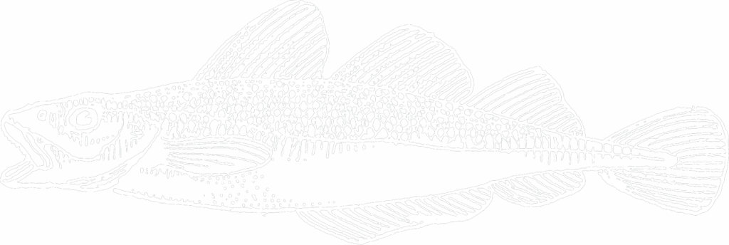Cod - Invertebrate (1024x344), Png Download