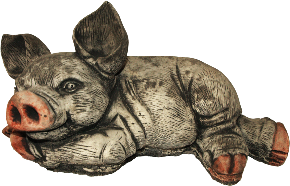 Ear Up Pig (1000x1000), Png Download
