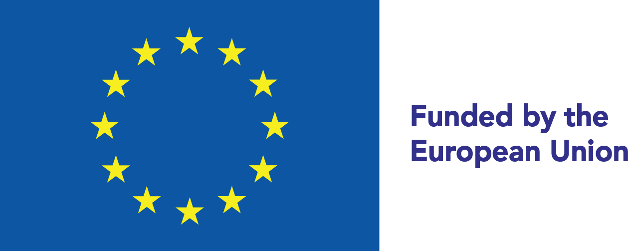 This Website Reflects The Views Only Of The Author, - European Union Flag (1263x503), Png Download