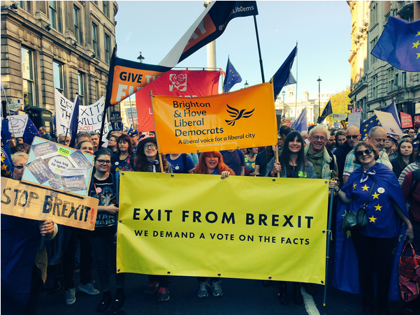 B&h Lib Dems At People's Vote March Oct 20th - Banner (600x600), Png Download