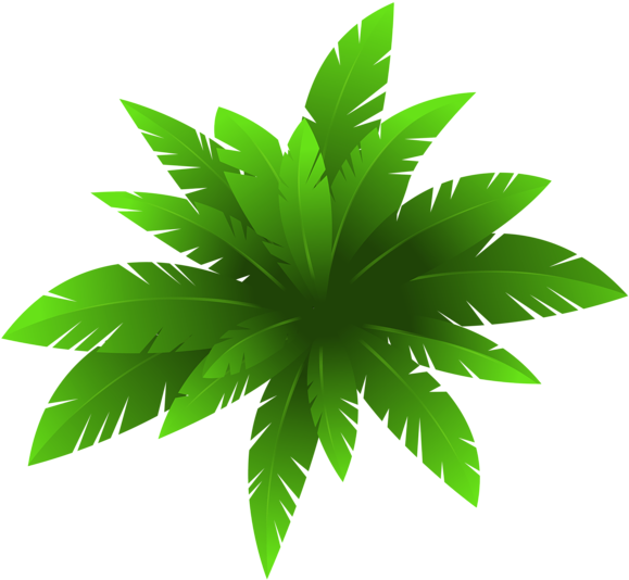 Green Plants Png - Plants Clipart Png (600x560), Png Download