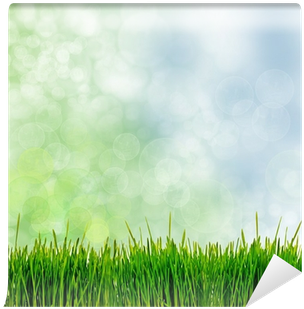 Thune/walker: Die Verändernde Kraft Des Evangeliums (400x400), Png Download