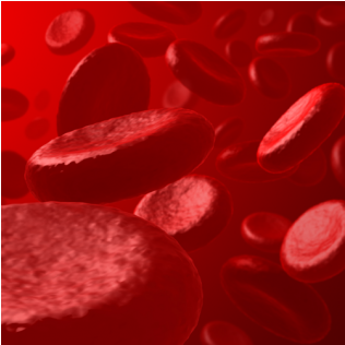 Rbc Lysis (600x315), Png Download