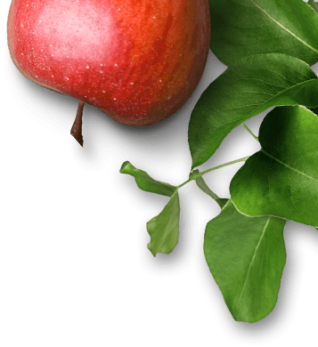 Apple (357x390), Png Download
