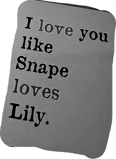 Report Abuse - Love You Like Snape Loves Lily (454x620), Png Download