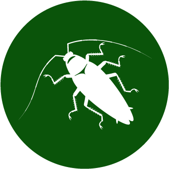 No One Wants These Creatures, And There Are Ways To - Pest (354x354), Png Download