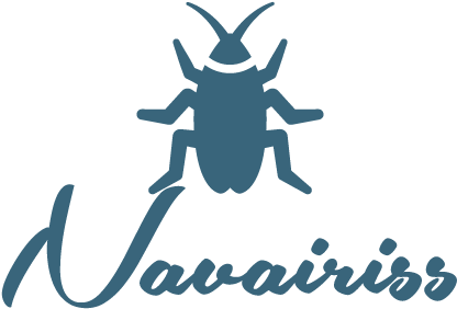 4 Perilous Side-effects Of Living With A Cockroach - Nasty Woman Greeting Cards (450x303), Png Download
