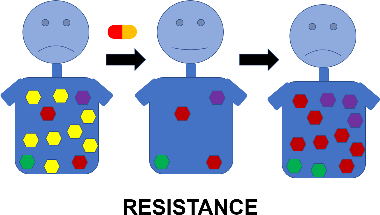 We Use Multidisciplinary Approaches, Combining Crystallography, - Portable Network Graphics (1334x816), Png Download