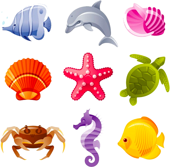 Sea Creatures - Conchas De Mar Caricatura (600x602), Png Download