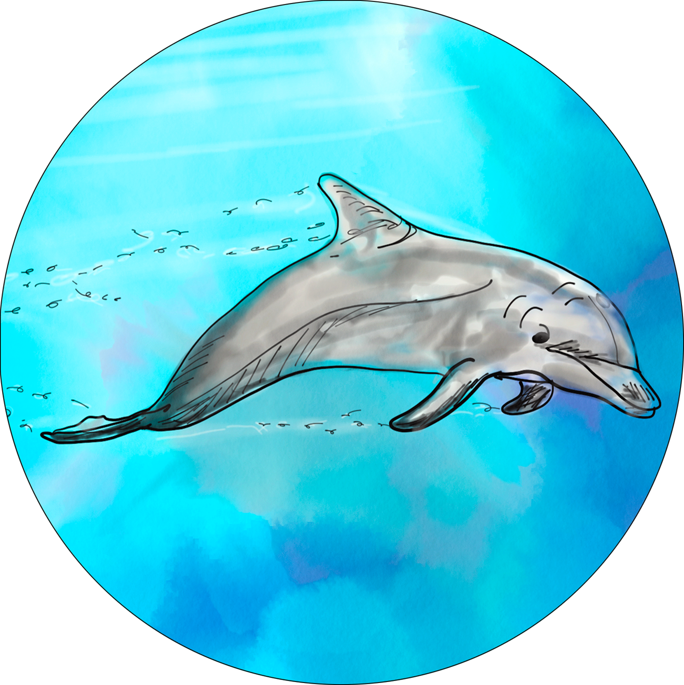 Common Bottlenose Dolphin (1400x1402), Png Download