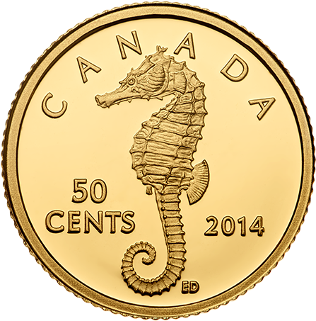 Canada 2014 Sea Creatures - Coin (570x570), Png Download
