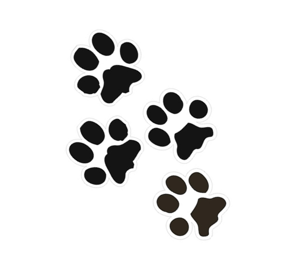 Best Photos Of Bobcat Paw Print Stencil - Bobcat Paw Print (589x562), Png Download