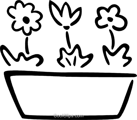 Potted Flowers Royalty Free Vector Clip Art Illustration - Illustration (480x422), Png Download