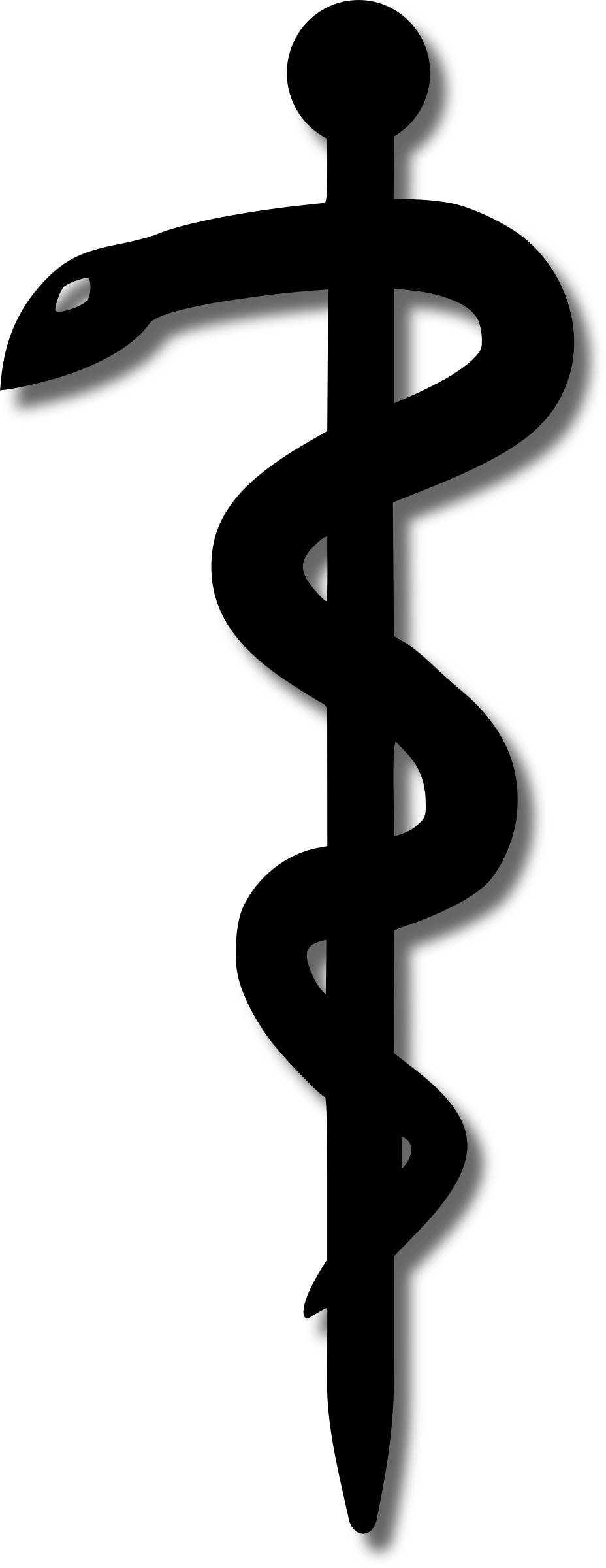 Aesculap Snake (928x2400), Png Download