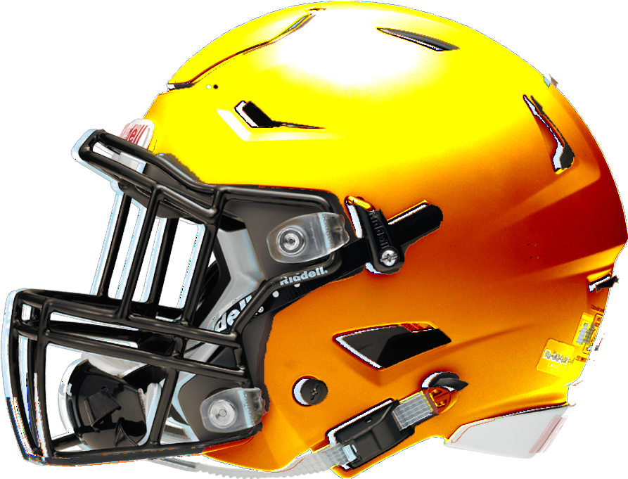We Have The Standard Orange Helmet, Along With A Brown - Charlotte 49ers Football Helmet (1000x903), Png Download