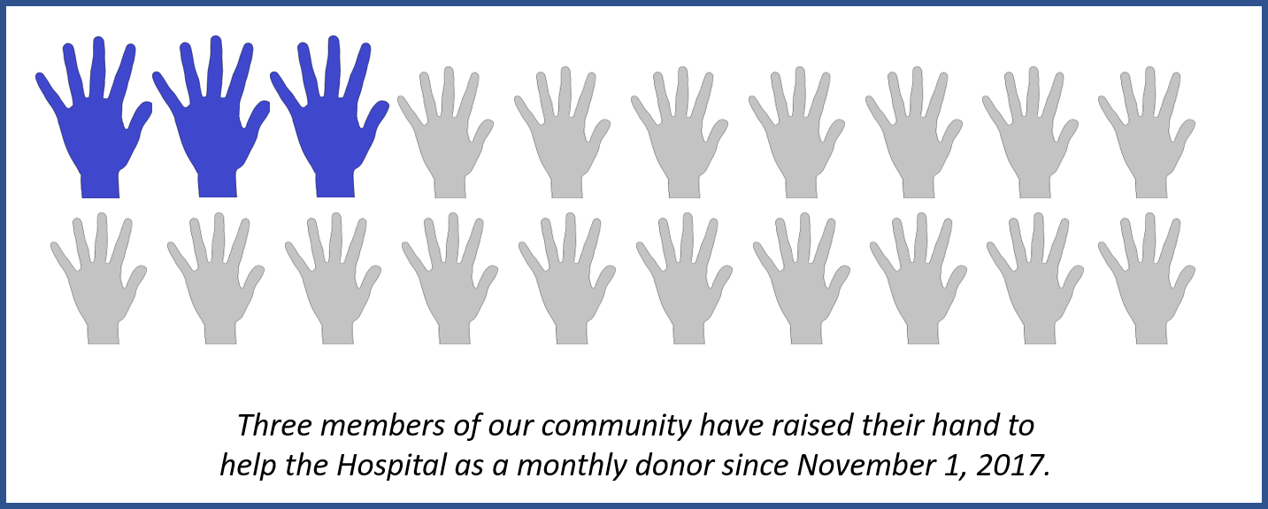 Help Us Reach Our Goal Of 20 New Monthly Donors By - Art (1433x575), Png Download