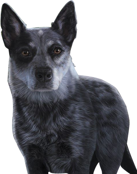 Whisper - Main - Survivors: The Gathering Darkness #2: Dead Of Night (494x604), Png Download