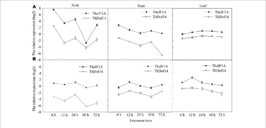 Theif1a And Thdof Expression Patterns In Different - Diagram (850x409), Png Download