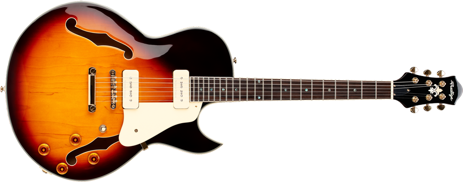 A Roots Rock Machine, The Nys Standard Is Semi-hollow - Charvel New 2017! Limited Edition Super Stock Dk24, (932x375), Png Download