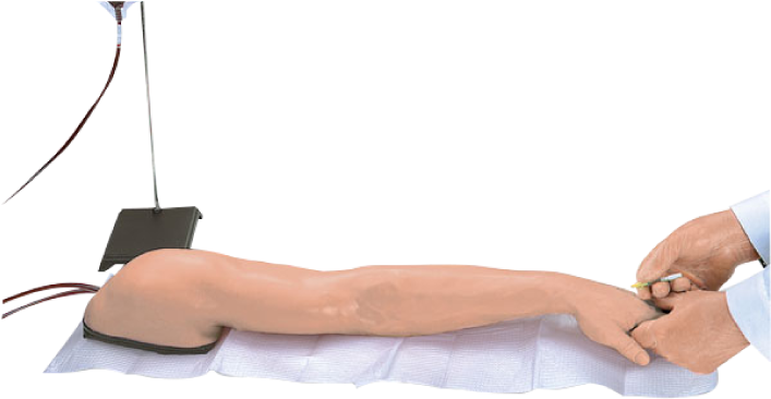The Bestselling Advanced Venipuncture And Injection - Im Injection Fake Arm (706x408), Png Download